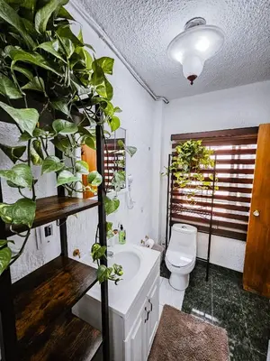 Plano de Habitación con baño privado B, Centro de Coyoacán