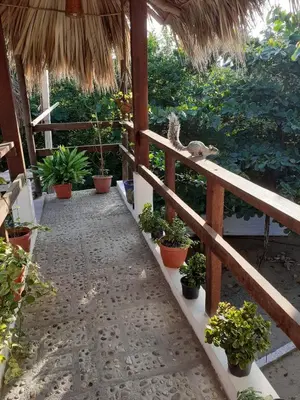 Jardín al aire libre en Casa Mazunte Tierra Viva