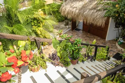 Jardín al aire libre en Casa Mazunte Tierra Viva