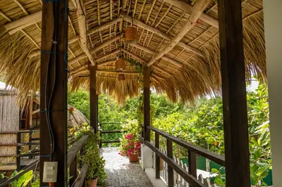 Jardín al aire libre en Casa Mazunte Tierra Viva