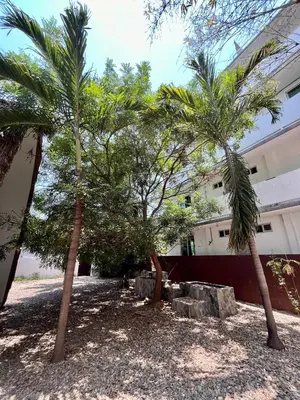 Jardín al aire libre en Hotel Aqualuna Departamento #aussiepipe
