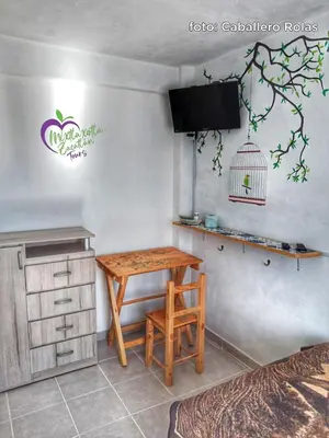 Una televisión o centro de entretenimiento en Mixtlaxotla Zacatlán Tours