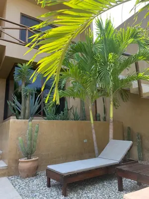 Jardín al aire libre en Casa Maloya alberca y vista al mar