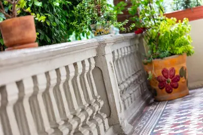 Jardín al aire libre en Meztli: Casa Boutique & Spa