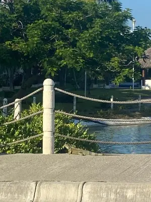 Vista de un río cerca de este apartamento