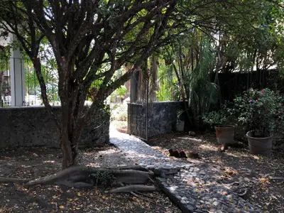 Jardín al aire libre en Casa La Bonita
