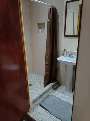 Un baño de Departamento Aeropuerto CDMX