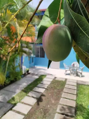 Jardín al aire libre en Casa familiar equipada en La Tampiquera