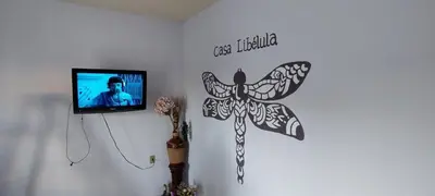 Una televisión o centro de entretenimiento en Casa Libélula