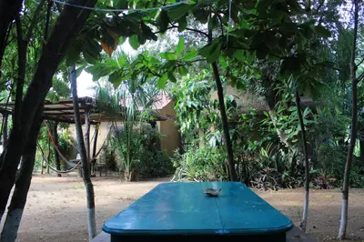 Jardín al aire libre en Cabañas La Escondida Mazunte