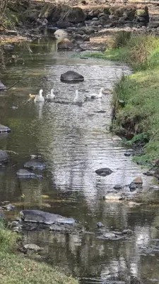 Vista de un río cerca de esta villa