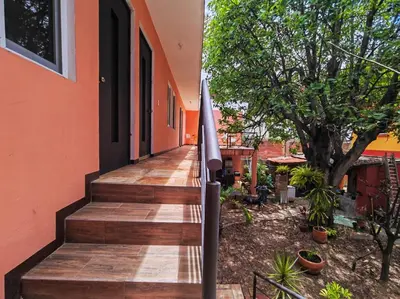 Jardín al aire libre en Casa Canseco