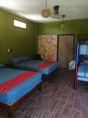 Cama o camas de una habitación en HOTEL AVE FENIX