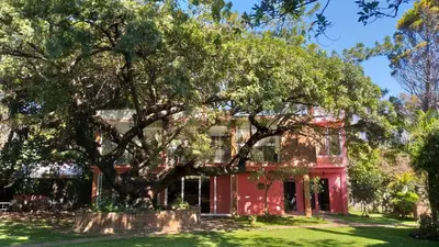 Plano de Casa Amor
