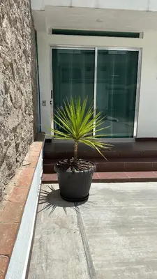 Plano de CASA BRAVO