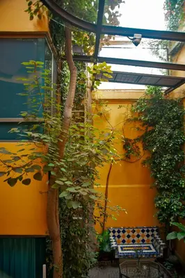 Jardín al aire libre en Chalet del Carmen, Coyoacán