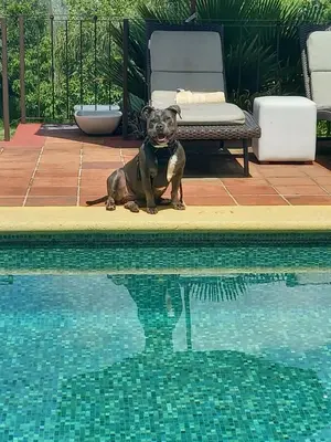Piscina en o cerca de Wellness Center El Secreto