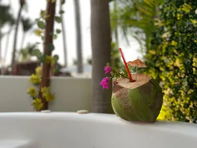 Plano de Depto acogedor en Acapulco Diamante - Sin daños por OTIS