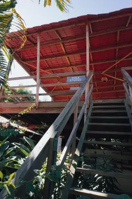 Plano de Pacific Buddha