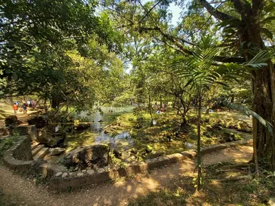 Paisaje cerca de este hotel