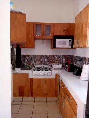 Una cocina o zona de cocina en Bungalow Maya Luna
