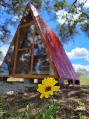 Jardín al aire libre en Campestre Camp