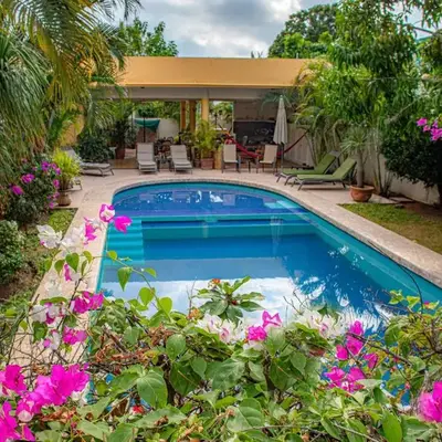 Hotel Zandoyo Bed & Breakfast