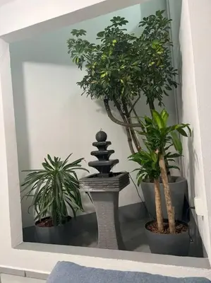 Plano de CASA Punto Medio