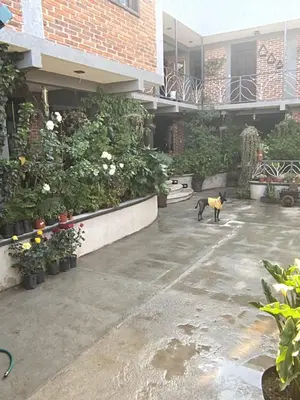 Jardín al aire libre en Hotel las carretas , spa y temazcal
