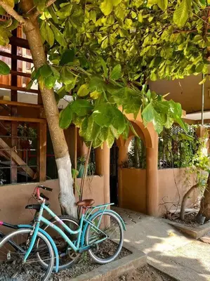 Montar en bicicleta en Casa Guiba 3 Puerto Escondido o alrededores