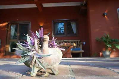 Jardín al aire libre en Casita Koru