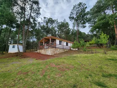 Edificio en el que se encuentra la casa o chalet