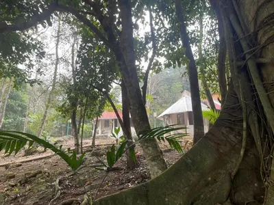 Jardín al aire libre en Centro ecoturistico Arco del Tiempo