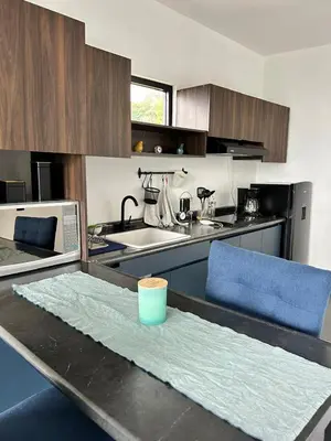 Una cocina o zona de cocina en Loft ËNXË Boutique Habitación Green