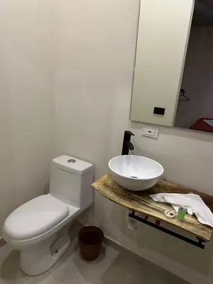 Un baño de Hotelito s