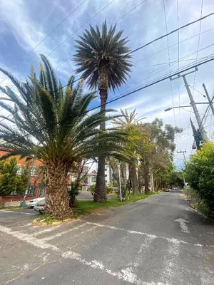 Plano de Bright Studio Apartment Casa Icacos Apt 2