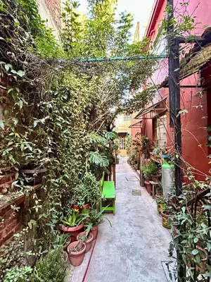 Jardín al aire libre en Mariposas