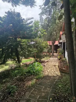 Jardín al aire libre en Bungalow del trotamundos