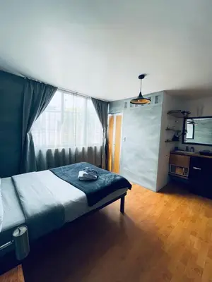 Cama o camas de una habitación en Compact Studio Apartment Casa Icacos Apt 4
