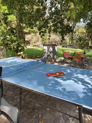 Instalaciones para jugar al ping pong en Glamp de Lujo Teques Granja El Sol o alrededores