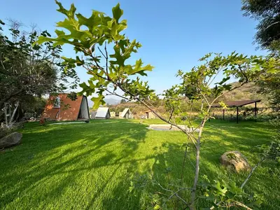 Jardín al aire libre en Chalets Encino Saúco