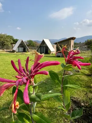 Paisaje cerca of this country house