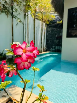 Piscina en o cerca de Oasis Villa a lado del mar