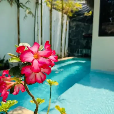 Oasis Villa a lado del mar