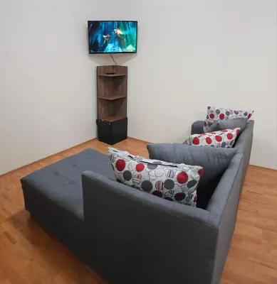 Una televisión o centro de entretenimiento en Departamento Foro Sol, Autódromo y Palacio