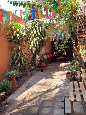 Jardín al aire libre en Cómoda y amplia Habitación en Jalatlaco