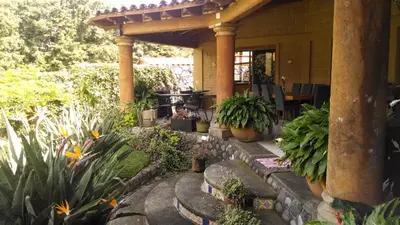 Jardín al aire libre en Hotel Boutique La Milagrosa