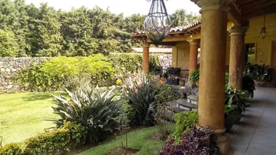 Jardín al aire libre en Hotel Boutique La Milagrosa