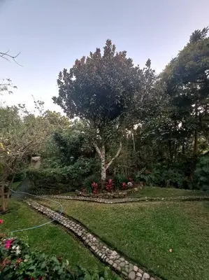 Jardín al aire libre en Casa Nora Malinalco huerto con alberca climatizada