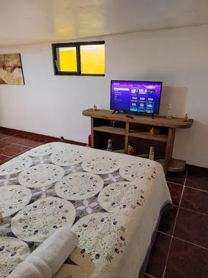 Una televisión o centro de entretenimiento en Hostal puebla